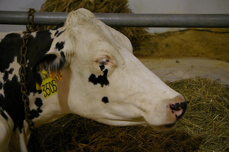 Salon de l agriculture et de la nature de l essonne: salon de l agriculture 066